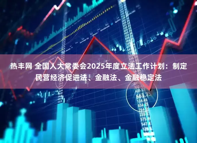 热丰网 全国人大常委会2025年度立法工作计划：制定民营经济促进法、金融法、金融稳定法