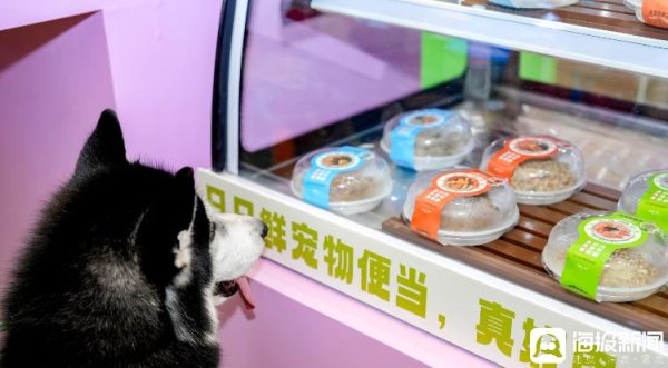 锅牛配资 海量财经丨当宠物吃上新鲜便当 “宠物鲜食”正在成为行业“新”风口