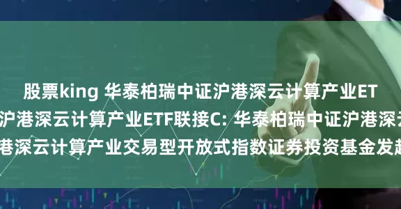 股票king 华泰柏瑞中证沪港深云计算产业ETF联接A,华泰柏瑞中证沪港深云计算产业ETF联接C: 华泰柏瑞中证沪港深云计算产业交易型开放式指数证券投资基金发起式联接基金基金合同